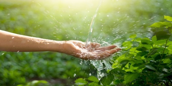 Pourquoi récupérer l'eau de pluie ?